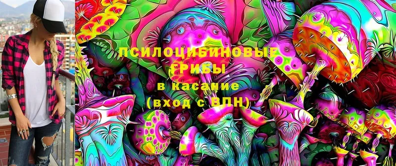 Галлюциногенные грибы Psilocybe  omg как войти  Вилючинск 